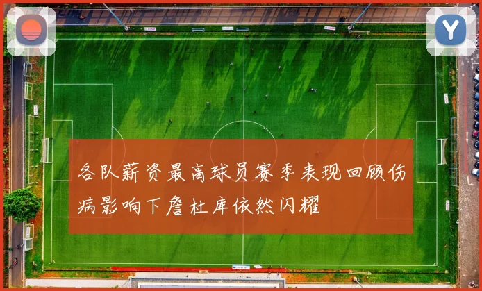各队薪资最高球员赛季表现回顾伤病影响下詹杜库依然闪耀